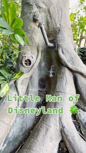 Top of the morning to ya from Disneyland Park ☘️ #Disney #DisneyParks #Disneyland #StPatricksDay #TinyHouse #Luck #Leprechaun