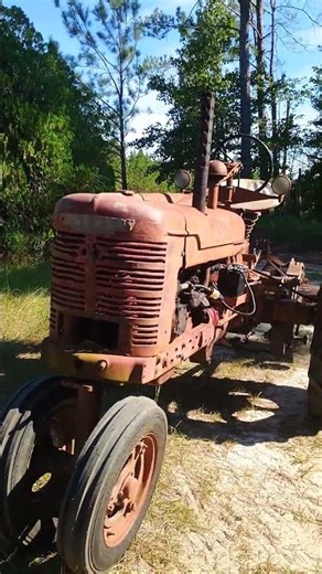 Mowing with the 1940 Farmall H & Finishing Mower #shorts