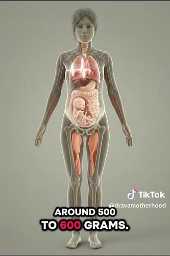 Week 23 Pregnancy: Strong Kicks & Baby Development Insights