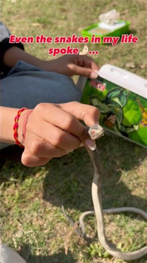 🌚🌝 #oyeraahul #snake #masoomsharmanewsong #snakes