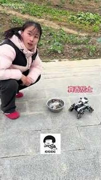 Can This Robot Dog Still Be Kept? Hilarious Daily Life Moments