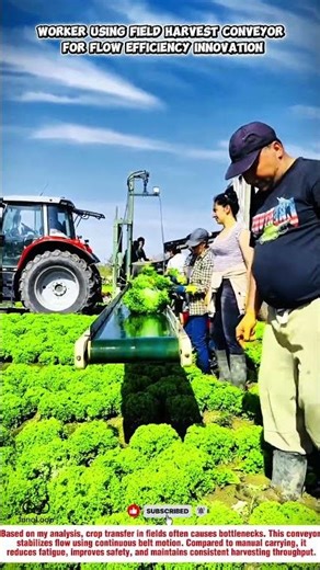 Worker Using Field Harvest Conveyor for Flow Efficiency Innovation