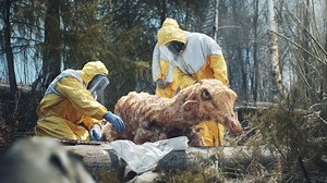 223K views · 2.3K reactions | Terrifying Chernobyl Mutations Caught on Camera #chernobyl #mutations #animalmutations | Most Amazing Top 10 | Facebook