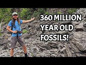 Unbelievable Treasure Hidden in these Rocks! Fossil Hunting in Alpena, Michigan for Ancient Sea Life