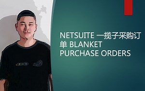 NETSUITE 一揽子采购订单 BLANKET PURCHASE ORDERS
