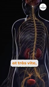 Fatigué de faire pipi au lit ? L'alarme DodoGuard vous apprend à passer des nuits au sec ! ✅ Entraîne votre enfant à rester au sec toute la nuit. ✅ Un puissant apprentissage par renforcement pour la conscience de la vessie. ✅ Détecte les premières gouttes d'humidité. Constatez des résultats en quelques jours : arrêtez définitivement l'énurésie avec DodoGuard ! | Chopafrique