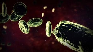 5.7K views · 201 reactions | Tune in to TWO all-new episodes of Monsters Inside Me starting at 9/8c TONIGHT! | Monsters Inside Me | Facebook