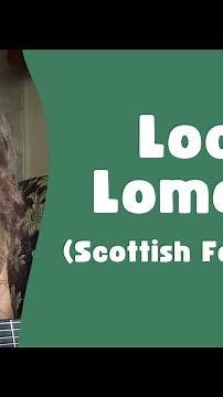 Loch Lomond