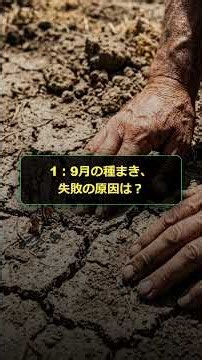 【発芽率100%の裏ワザ】9月のほうれん草・春菊は「冷蔵庫」で発芽させろ！猛暑を乗り切る種まきの極意 #家庭菜園 #YuruNouka #家庭菜園初心者 #ホウレンソウ