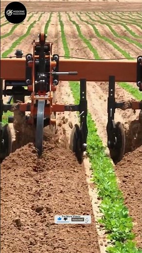 Amazing Agriculture Machines | Combine Harvester in Action – Modern Farming Technology! #agritech
