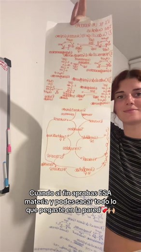 Y eso que eran menos de la mitad de las formulas de bioqui👀 #medstudent #medicina #bioquimica #study
