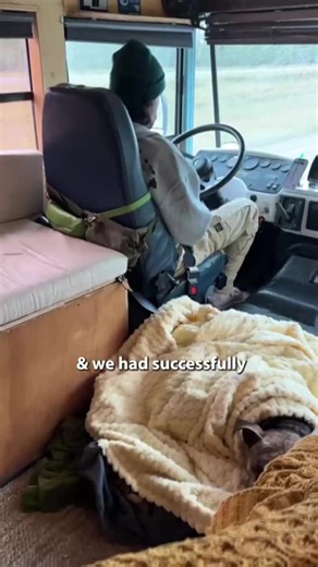 Stealth Camping in New Orleans..  ----------- https://amzn.to/3Lo86my #vanlife #stealthcamping #buslife | Sam and Kelly | Facebook