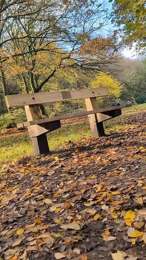 Slow down and take an Autumn walk with us around the Delph Donkey Memorial Bench trail, being established with I love Oldham Did you know? We don’t just plant Memorial Trees, you can also dedicate a Memorial Bench for a loved one, along this scenic walking route. If you’d like some more information about this trail, or any of our other locations, drop us an email at info@lifeforalife.org.uk | Life for a Life Memorial Forests