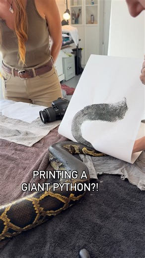Ben Friedman on Instagram: "How to MAKE ART out of a HUGE PYTHON! Burmese Pythons are invasive in Florida, but it doesn't mean you can't honor them in cool ways"