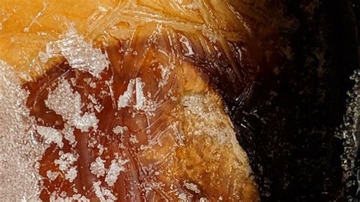 12 old-school dishes middle-class Americans ate in the 1960s