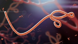 Infectious Diseases A-Z: Understanding the Ebola outbreak - Mayo Clinic News Network