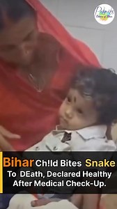 Bihar Boy Bites Snake to De*th; Doctors Declare Child HealthyAfter Examination | Follow - @patnaite . . . . . . . . . . . . . . . . . . #patna #bihar #patnaites #news #chid #snake #bite #wild #patnabihar #patnabeats | Patnaites