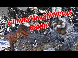 How to do the Megapithecus Boss battle! (Gamma quick walk through)