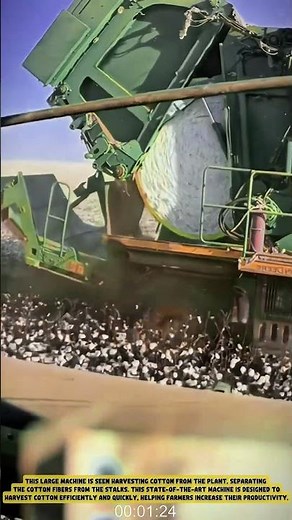 Tractor harvesting cotton in the field - Good tools and machinery in daily work