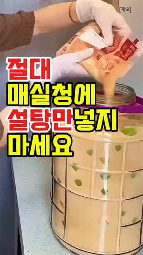 매실청 핵심재료는? 🙌매실청 담그실 분들은꼭 한번 참고해보세요🌿#매실청 #매실청담그기 #여름음료 #집밥레시피 #살림꿀팁 #식재료만들기 #전통음료 #홈카페 #요리꿀팁