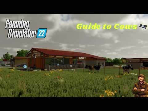 Guide to Cows - Making TMR on FS22