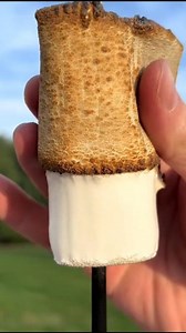 শেষ পর্যন্ত না শুনলে ভিডিওর আসল মজাটা খুব মিস করবেন