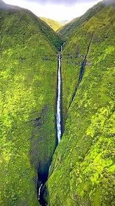 Moloka'is the fifth-largest Hawaiian island, known for its untouched landscapes. About 38 miles long and 10 miles across at its widest point, it's home to around 7,000 residents-- many of whom are Native Hawaiian and still practice traditional subsistence living. Formed by two volcanoes, Moloka'i also boasts the world's tallest sea cliffs over 3,000 feet high! Moloka'i, Hawaii. #nakedhawaii Video and Caption by @danielsullivanphotography #beautiful ##uniqueplaces #seacliffs #molokai #hawaii #pac