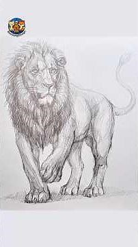 How to Draw a Realistic Lion 🦁 | Step-by-Step Pencil Drawing for Beginners