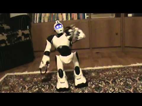 Robosapien V2 White UK Version DANCE DEMO