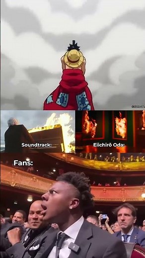 Luffys New Muscle! - One Piece ICONIC Scene