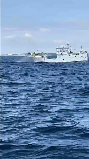 【激レア】カツオ一本釣り漁船！圧巻の現場に遭遇！#釣り #相模湾 #fishing #一本釣り #コマセマグロ