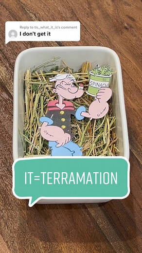 The Process of Human Composting Explained