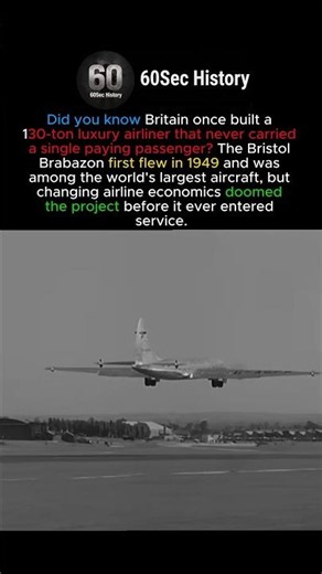 Britain's Forgotten Flying Giant #shorts