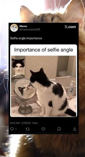 This is why angles are important in selfies