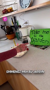 9.7K views · 21 reactions | Avez-vous déjà été surpris ainsi? . . . (À des fins de divertissement uniquement. Consulter des professionnels si des conseils sur les activités sont présentés. Aucune affiliation à une marque n'est implicite si elle est représentée. Si le contenu s'inspire d'événements réels, des adaptations créatives peuvent être incluses. Le contenu peut inclure des images publiques.) | Fabiosa Animation | Facebook