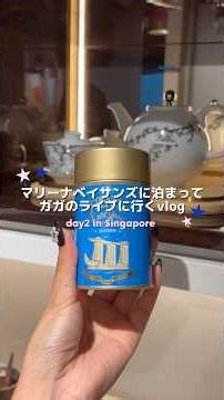 マリーナベイサンズに泊まってレディーガガのライブに行く日のvlog🪩⭐️💖#シンガポール旅行 #マリーナベイサンズ #チリクラブ