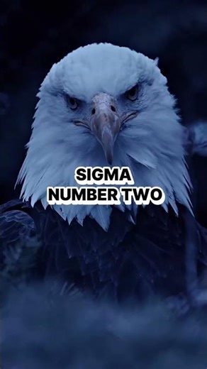 Top 3 Sigma Animals in the Wild | Alpha vs Sigma #SigmaAnimals #animalranking #wildlifefacts