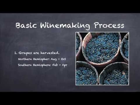 Basics of Winemaking