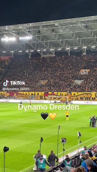 Dynamo Dresden: A Look at the SG Dynamo Spirit