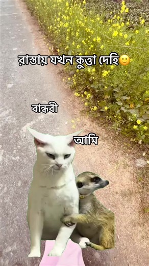 🥲💔#foryou #likecommentthankyou💞💓 #Meme #MemeCut