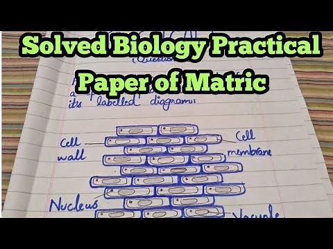 Biology practical paper solved for Matric board exams