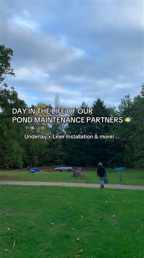 2.4K views · 41 shares | Every great pond starts with a solid...