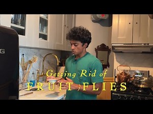 HOW TO GET RID OF FRUIT FLIES. The quick, easy and inexpensive way, with Rajiv Surendra