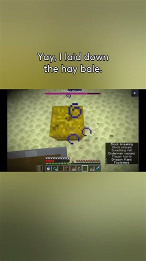 I Tried the Hay Bale Save… and MISSED 😭🐉 | Chest Cavity Challenge Ep 12 | The Dadcrafter