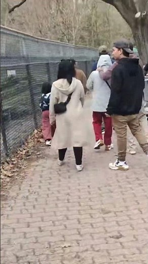 High Park Zoo, Toronto 🇨🇦