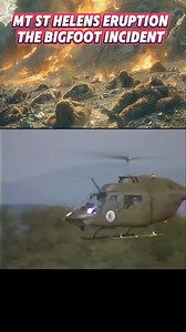 1.2M views · 20K reactions | 樂 | Boise Bigfoot | Facebook