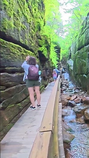Franconia Notch State Park 🌿| Flume Gorge Scenic Trail | New Hampshire Travel 🌲