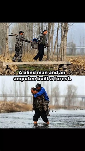 They Planted 10,000 Trees Without Hands or Eyes