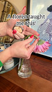 Secret Florist Trick! Hollow stemmed flowers like Gerbera Daisies can often get droopy! Perk them up by inserting a pin, one inch below the bloom, to help it continue to siphon water. #flowers #daisy #florist #floraldesign #hometips This original video was produced by Network Media, LLC and Jeff & Lauren Productions. | Hackity Hack Club