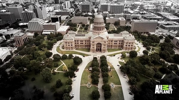 Lone Star Law (TV Series 2016– )